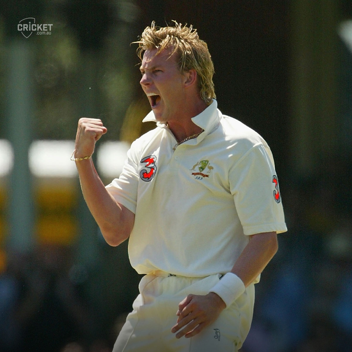 Which bowler has the best bowling action?