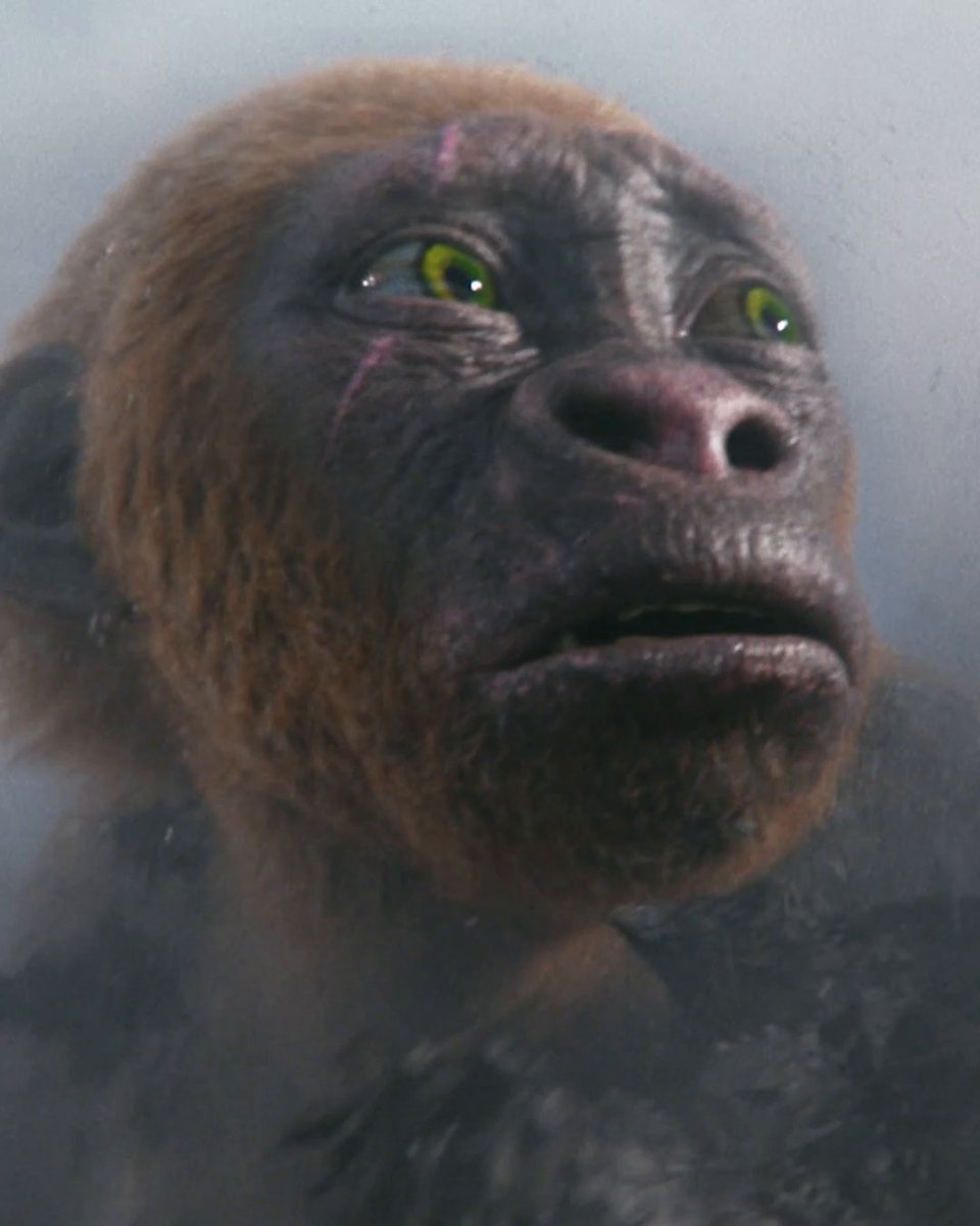 Small stature, big impact. Own #GodzillaXKong: The New Empire now on Digital and 4K Ultra HD 6/11!