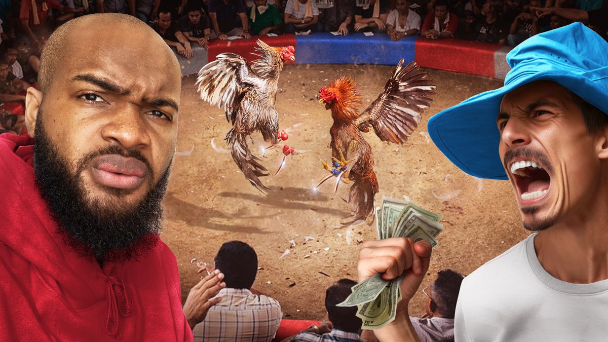 I explore the World's Most Controversial Sport of Cock Fighting. 18+ (Viewers' discretion is advised)