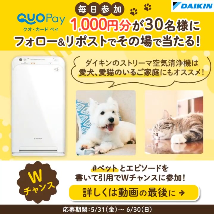 #ストリーマ空気清浄機 で ペットのお悩みも解消🐶🐱 30名様にQUOカードPay1000円分🎁 6/30まで毎日参加可能 応募方法 1⃣本アカウントをフォロー 2⃣6/3 9:59迄にリポスト 3⃣当選者にはDM Wチャンスは動画を確認👀 ＃ペット とお悩み解決エピソードを付けて引用で 1名様に空気清浄機が当たる！