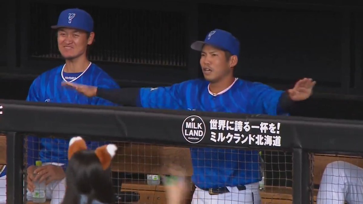 🕺 🤣 😂 #桑原将志 選手 #モーニング娘24 #きつねダンス🦊 #lovefighters #baystars #日本生命セ・パ交流戦2024 #交流戦 #セ・パ交流戦 👇「パーソル パ・リーグTV」でライブ配信！