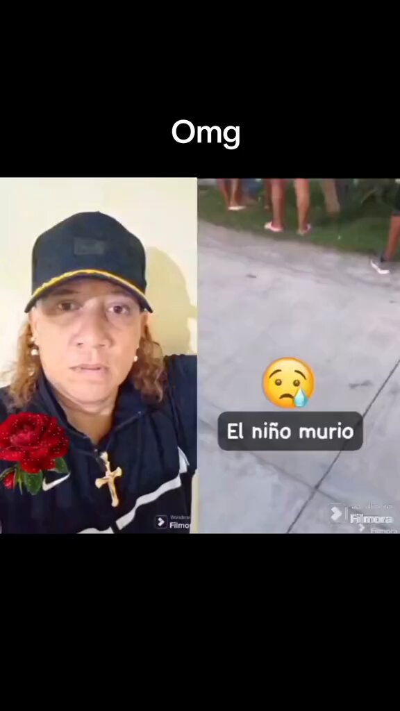 Según lo que dice esta señora en el video El niño que fue atacado por el perro falleció debido a que le mordió por el cuello y le afectó la vena horta