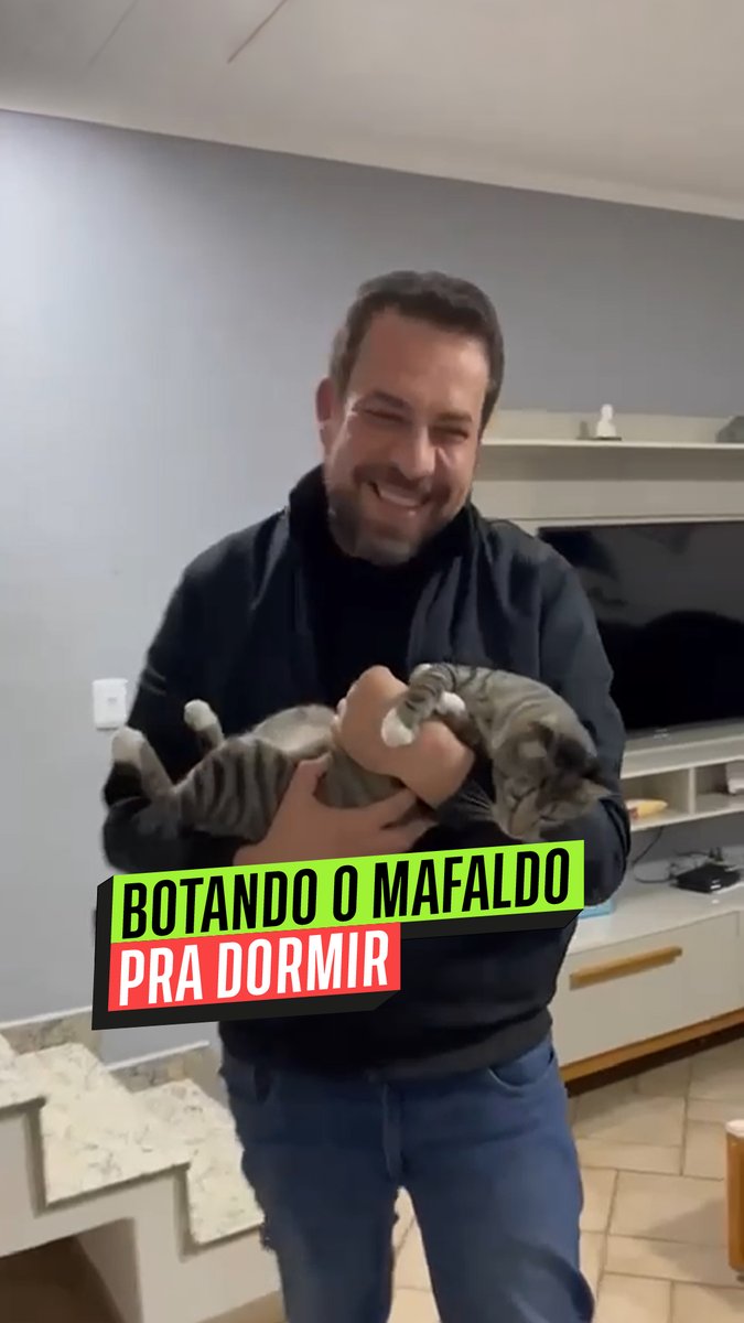 A fase pai de gato chega para todos 😹