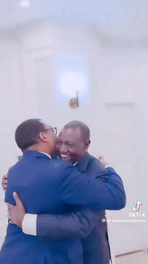 President of the African Development Bank meets the President of Africa