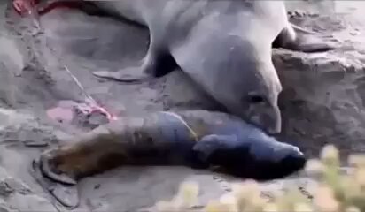 This mother seals reaction when she realized her baby wasn’t dead 🥹