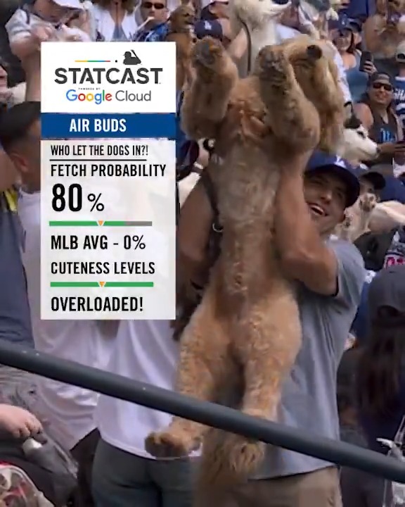 Absolute scenes 🐶 (MLB x @GoogleCloud)