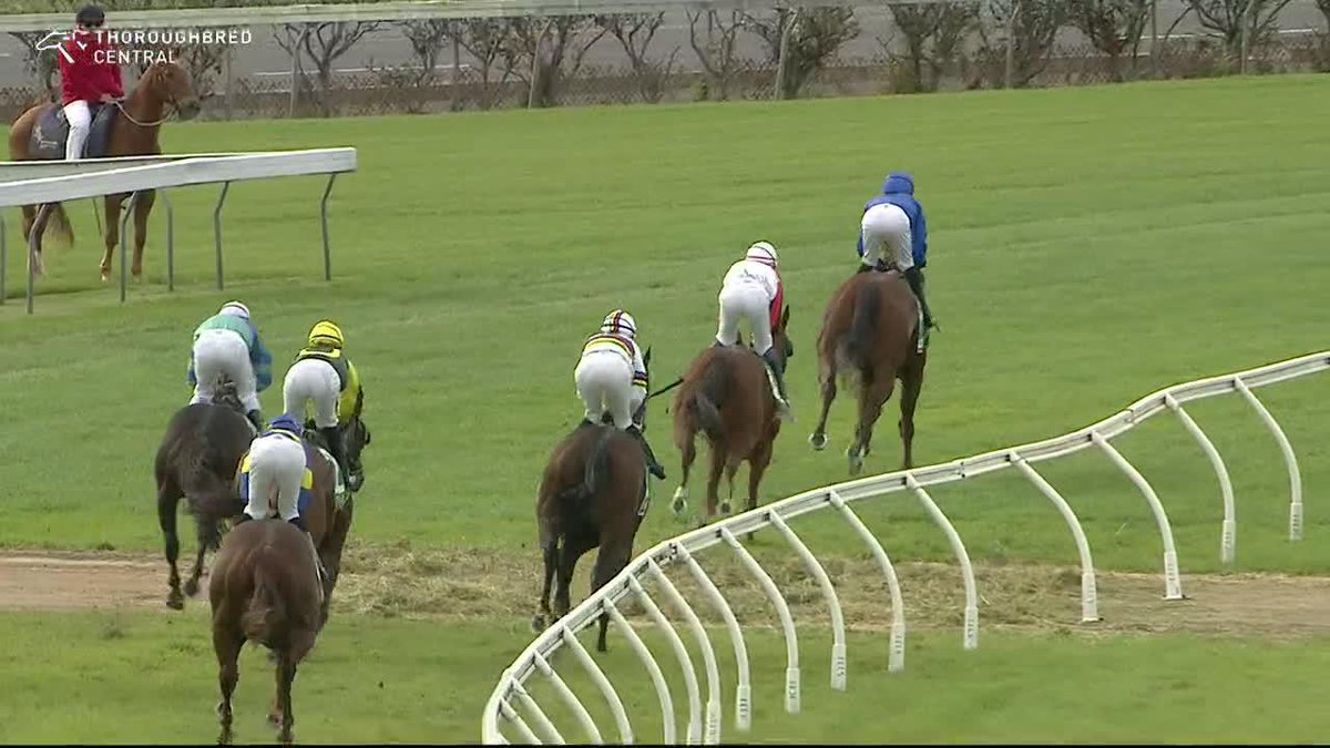 $1.10 favourite Tulle wins like a $1.10 pop should! Zac Lloyd won't have many easier wins in his career.