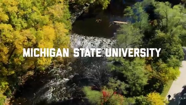 MSU is Michigan's state university.