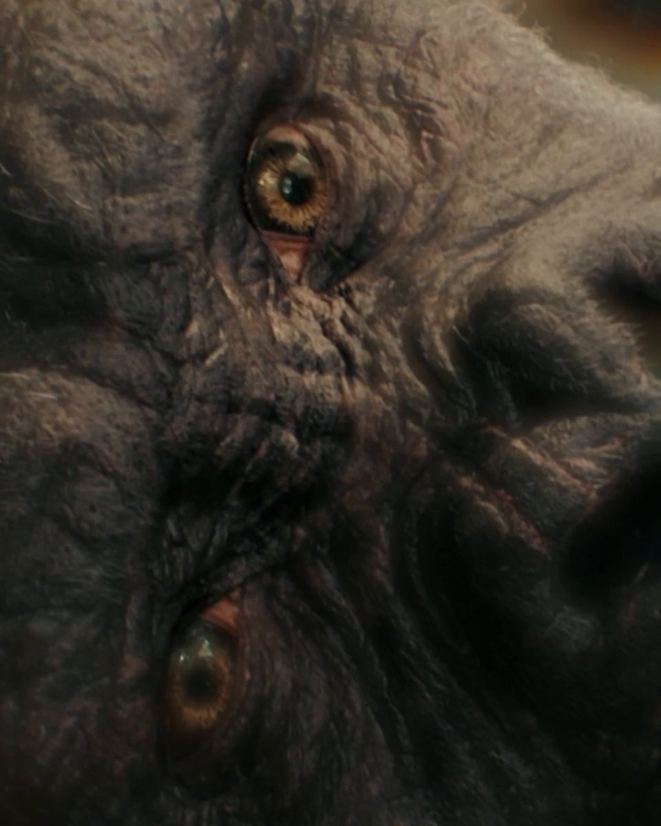 You can't escape destiny. Own #GodzillaXKong: The New Empire now on Digital.