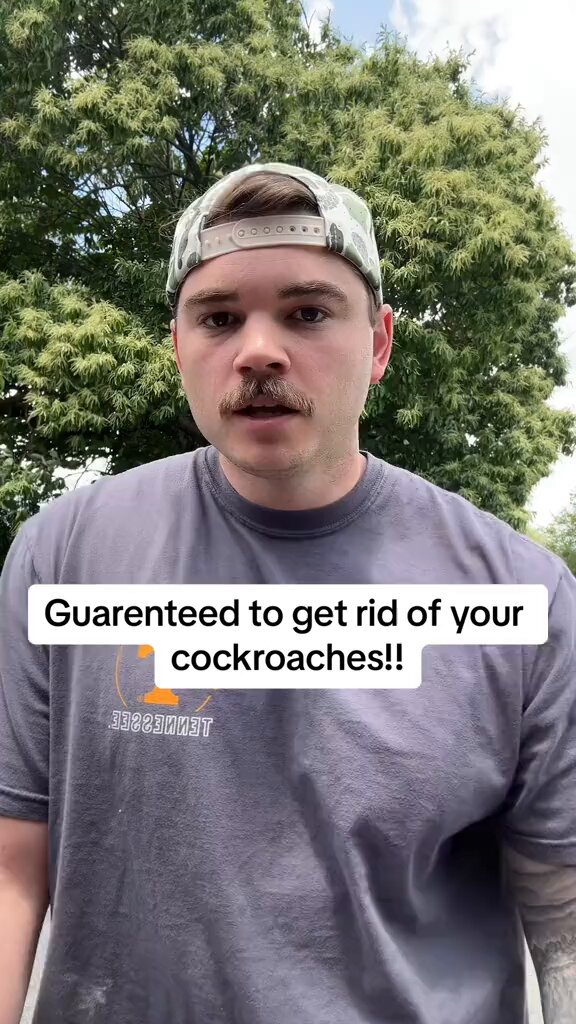 Homemade Remedy To Eradicate Cockroaches From Your House