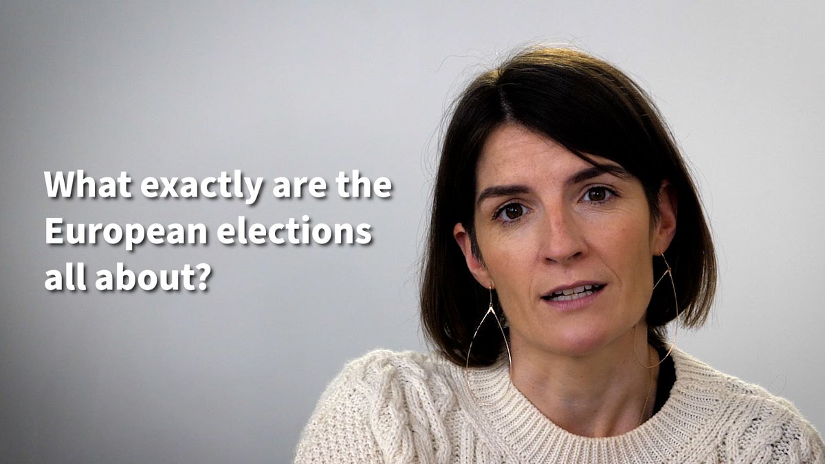 What exactly are the European elections on Friday all about? Sinéad O'Carroll explains