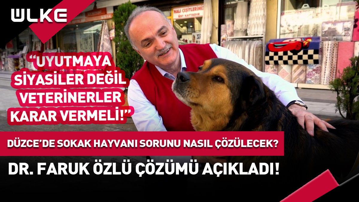 Düzce’de sokak köpekleri sorunu nasıl çözülecek? “Uyutma konusuna siyasiler değil veterinerler karar vermeli!” #haber Faruk Özlü