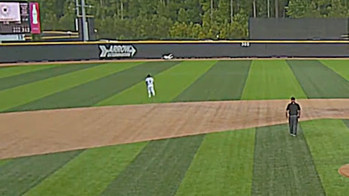 𝘞𝘏𝘈𝘛. 𝘈. 𝘊𝘈𝘛𝘊𝘏. 👀 Top Tier Baseball 🇺🇸's Demetri Tsesmelis (Dunedin High School Baseball) lays out and makes a ridiculous diving grab. Prep Baseball | Prep Baseball Florida | #NPI24