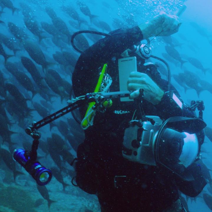 Having been involved in marine exploration for more than 70 years, on #WorldOceansDay we take the opportunity to celebrate our #PerpetualPlanet Initiative partners who are leading efforts to understand and protect the Earth’s seas. More