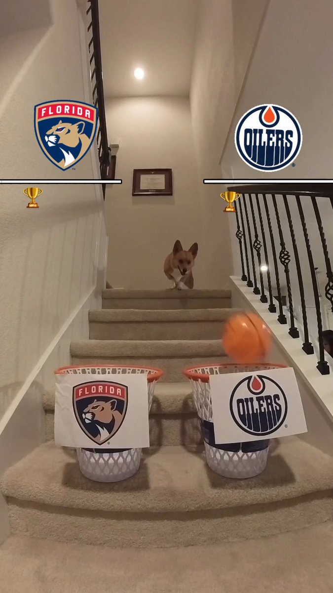 Air Corgi's #StanleyCup Final predictions are IN. ✅ 📺: Edmonton Oilers vs. Florida Panthers Game 1 TONIGHT at 8p ET on ABC, ESPN+, Sportsnet, Sportsnet+, and TVA Sports