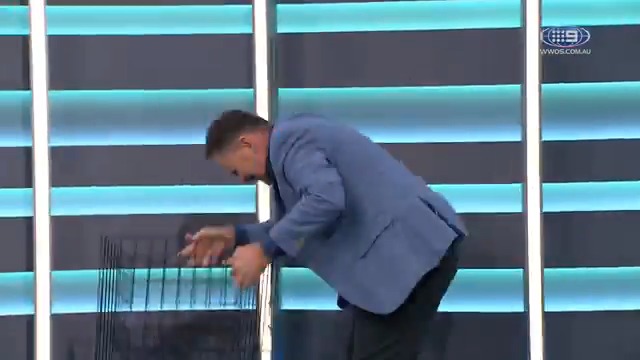 We couldn't be any more grateful to Kane Cornes for convincing TJ to have another crack at Lou's Handball 🙏😂 #9AFLSFS | Nine & 9Now 🖥️