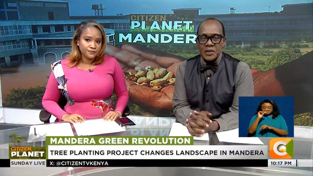Mandera Green Revolution: Tree planting project changes landscape in Mandera Programme being undertaken by 1000 women in the county Mandera Greening Programme, finalist at World Green City Awards #CitizenSundayLive Jeff Koinange, MBS Olive Burrows