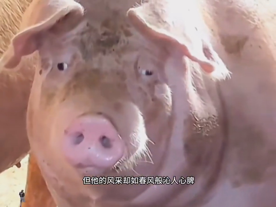 大型纪录片《习近平传奇v2.0》持续为您播出......