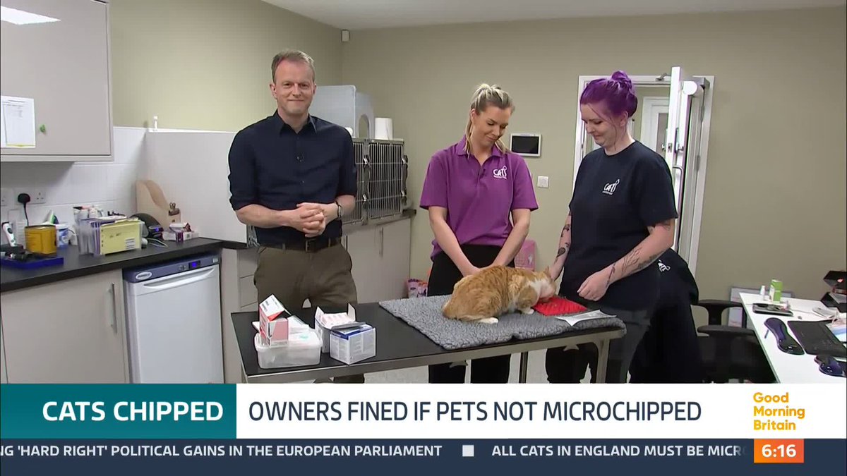 Cat owners must have their pets microchipped by today - or face fines of up to £500. The new law applies to all cats aged 20 weeks and older. Nick Dixon reports.