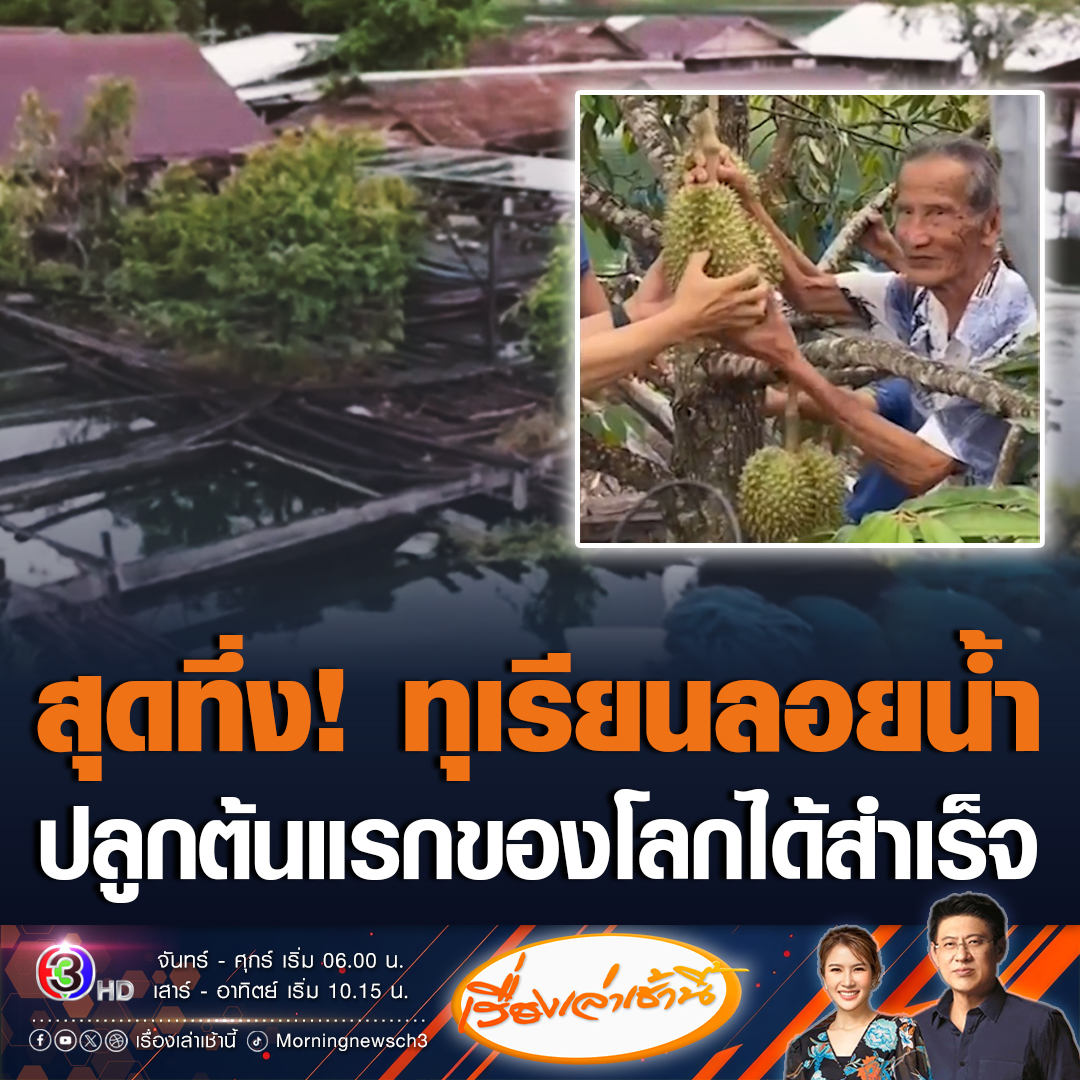 #เรื่องเล่าเช้านี้ สุดทึ่ง! ตาวัย 80 ปี ทดลองปลูกต้นทุเรียนลอยน้ำออกลูกสำเร็จ โดยปลูกที่แพใน จ.กาญจนบุรี เผยลุยพัฒนาต่อยอด สรยุทธบอกยังไม่เคยเห็นปลูกต้นทุเรียนลอยน้ำ คิดว่าเป็นที่แรกของโลก #ข่าวช่อง3 #ข่าวภูมิภาค #ทุเรียนลอยน้ำ