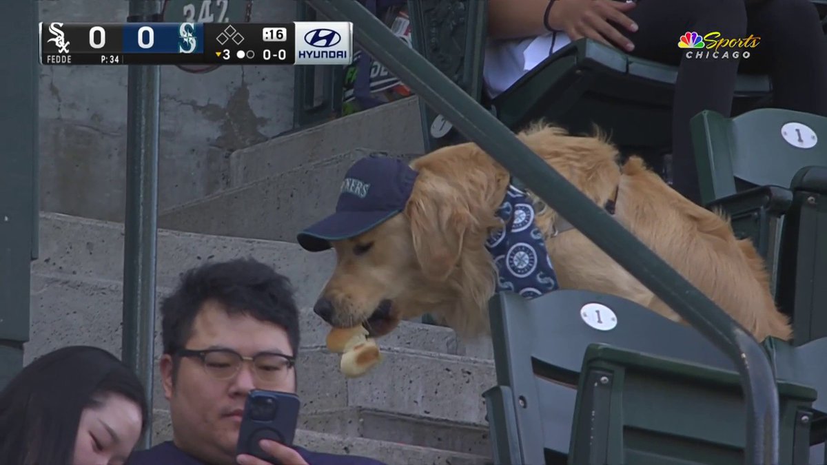 Dog Day is the best.