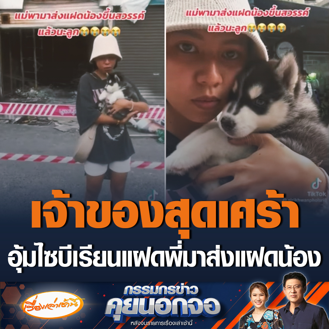 เรื่องสุดเศร้า เจ้าของเพิ่งซื้อไซบีเรียนไว้ 2 ตัวที่โซนสัตว์เลี้ยง แต่เอากลับโรงแรมได้เพียงตัวเดียว คิดว่ากลับบ้านที่สมุยแล้วค่อยมาเอาตัวกลับ แต่รู้ความจริงว่าแฝดน้องอีกตัวถูกไฟคลอกตาย จึงอุ้มมาลา #เรื่องเล่าเช้านี้ #กรรมกรข่าวคุยนอกจอ #ไฟไหม้ #จตุจักร