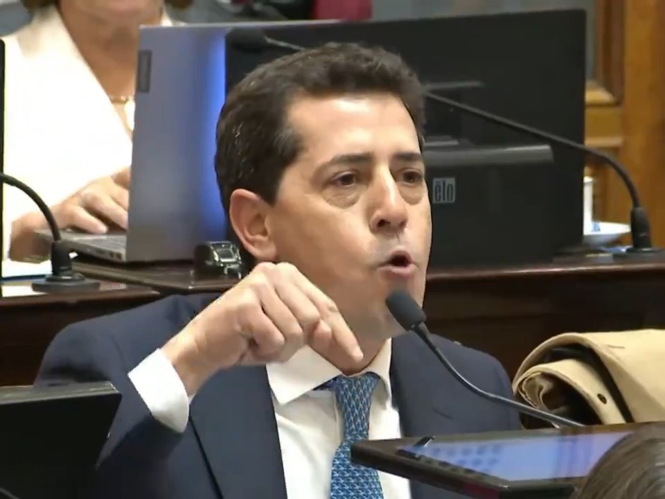"Wado": Por el cruce de Eduardo de Pedro con Victoria Villarruel durante la sesión del Senado