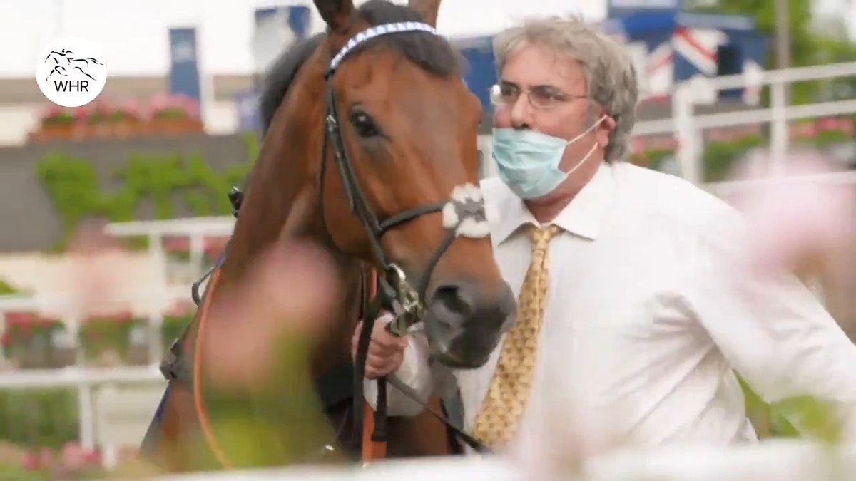 When Bob and his best mate 𝗕𝗔𝗧𝗧𝗔𝗔𝗦𝗛 finally got it done at #RoyalAscot 💙🤍 𝟱 𝗗𝗔𝗬𝗦 | Ascot Racecourse 👑