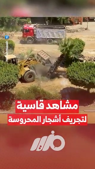 مشاهد قاسية لتجريف #أشجار #مصر #مزيد