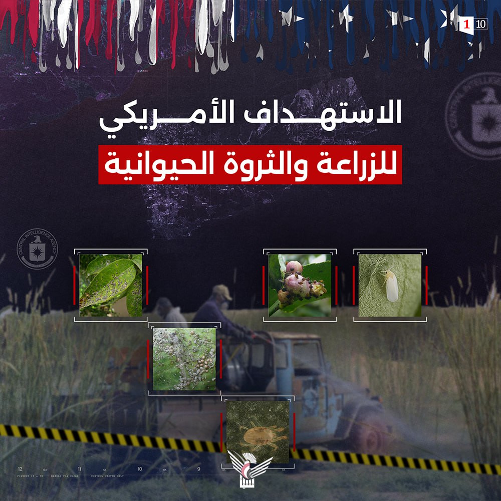 الأجهزة الأمنية تنشر اعترافات جديدة لخلية التجسس الأمريكية الإسرائيلية في استهداف وتدمير القطاع الزراعي