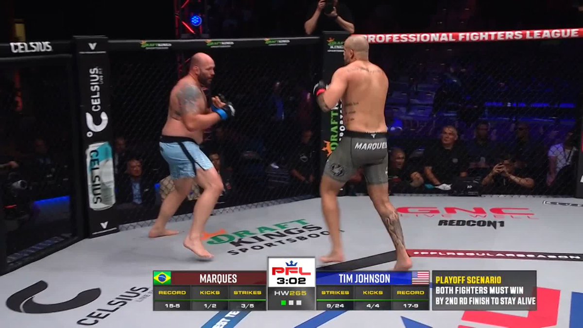 MMA Fighter gets knocked out right as they kick their opponent in the nuts