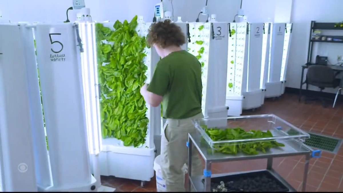 More than 40 million people in the U.S. struggle with food insecurity, including children. At Ashwaubenon High School in Wisconsin, students can access fresh produce that's grown inside the school's hydroponic garden thanks to an innovative new program.