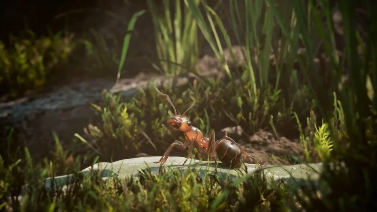 This has to be the most realistic bug video game in history
