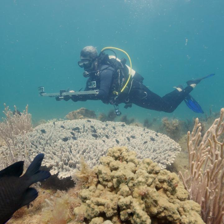 The health of Australia’s World Heritage-listed Ningaloo Reef depends on nearby Exmouth Gulf. Local Mission Blue Champion Ben Fitzpatrick is working to upgrade protections in the gulf, which is also richly biodiverse. More on #HopeSpots #PerpetualPlanet