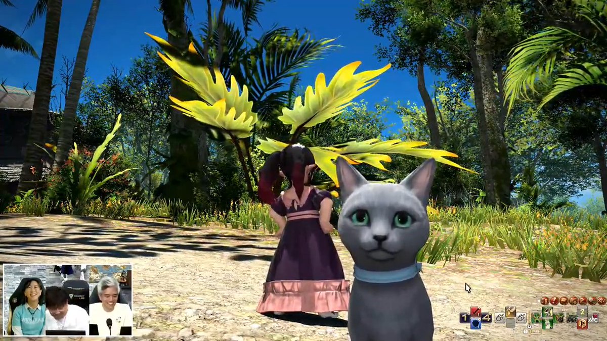 Meowdy 👀🐾