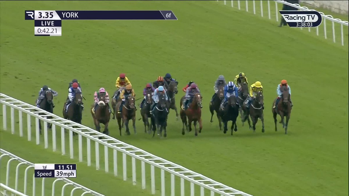 🤌 Moore again James's Delight plunders this £100,000 prize at York Racecourse
