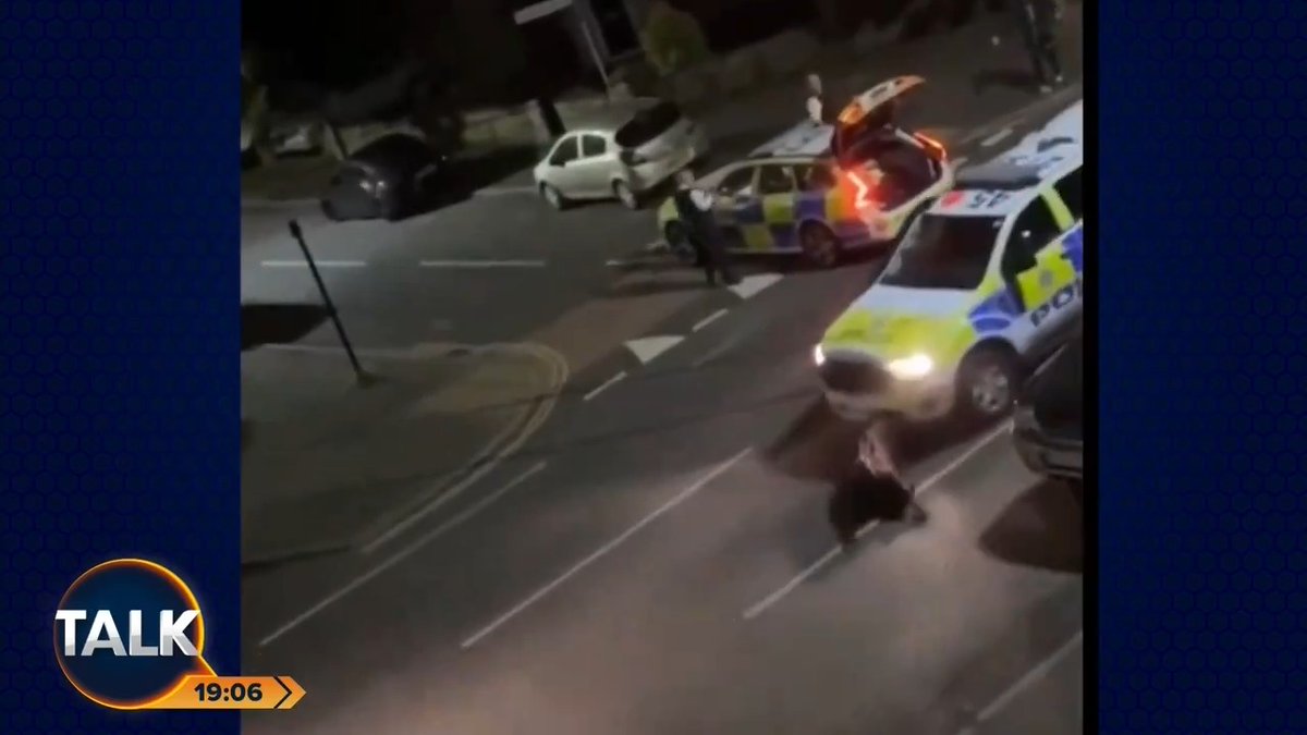 James Whale slams Surrey police after they used a car to hit a cow twice. "You are a disgusting member of the human race. Whoever did this must be sacked." James Whale MBE. Ash