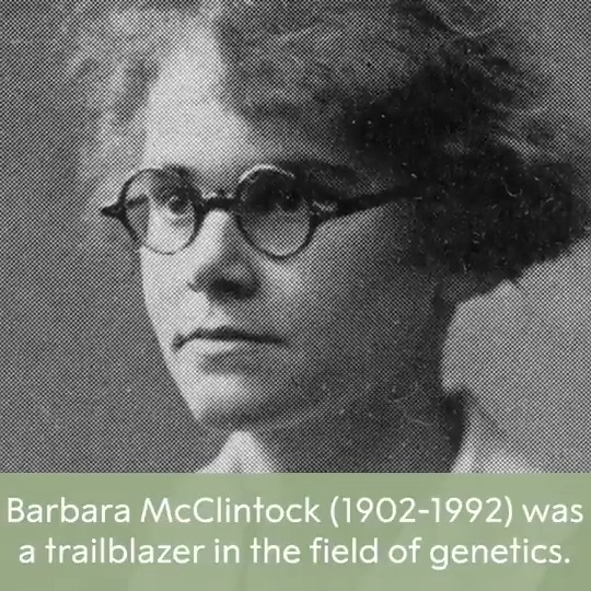 How much do you know about the trailblazing scientist Barbara McClintock? McClintock's pioneering research was rejected by the scientific community but she didn't give up. Watch our video to learn more about this remarkable laureate who was born on this day 122 years ago.