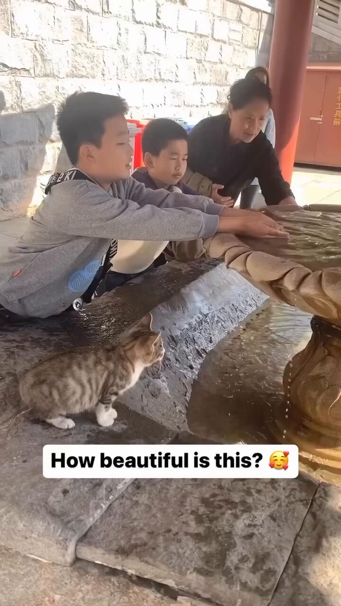 they became best friends 🥹