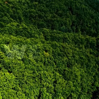 The #NatureRestoration Law has been adopted! 🎉 This is a great, crucial step forward #ForOurPlanet, citizens, industry and for the future generations. Now we can step up our action on the ground to stop and reverse biodiversity loss, and to #RestoreNature