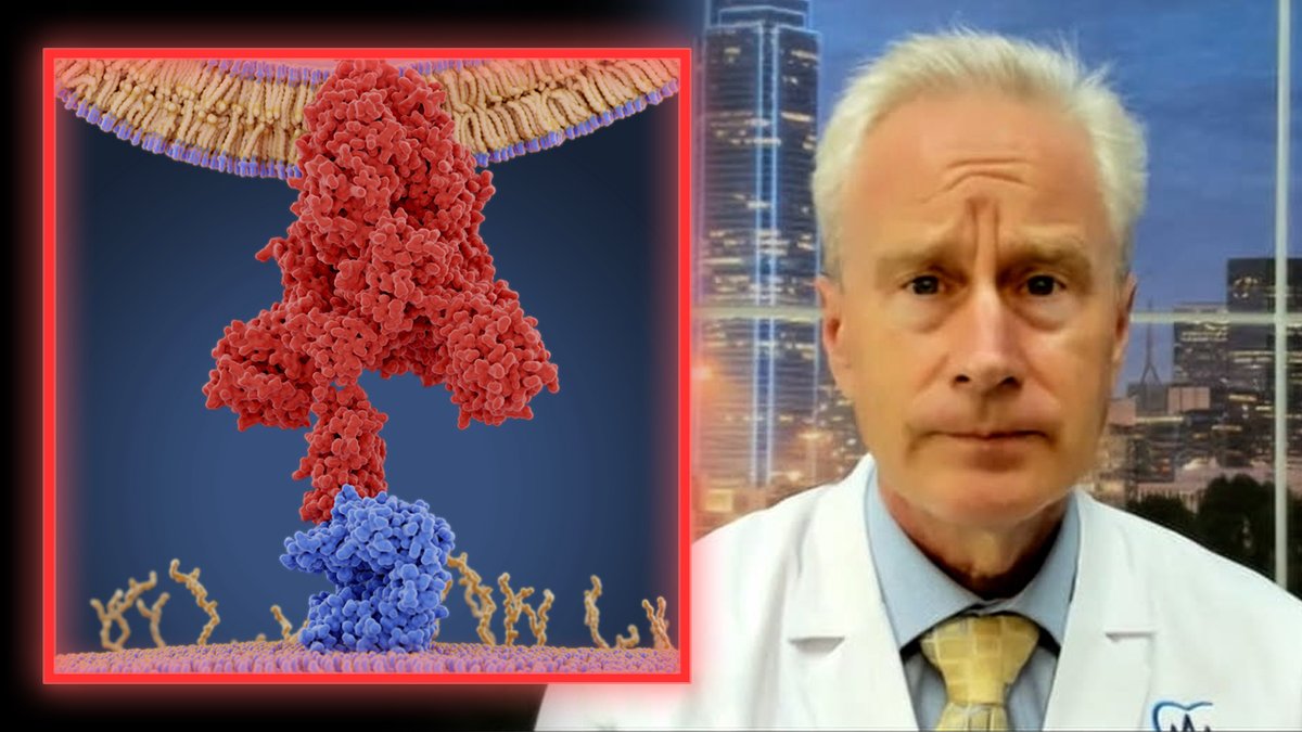 Spike Protein Can Be Eradicated From The Body, According To New Major Study— Dr. Peter McCullough Reports Peter A. McCullough, MD, MPH®