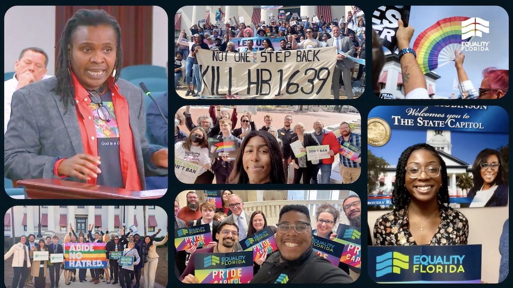 After years of cruelty and attacks on our rights by DeSantis, the tide is turning—and the resistance is winning critical battles. Thousands of families across FL are showing up to challenge DeSantis' extremist agenda. While the work is hard, we'll continue fighting every fight.