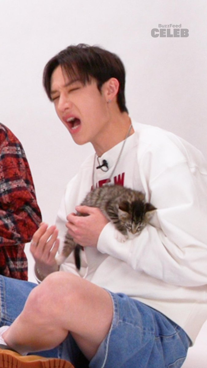 Stray Kids: The Kitten Interview. Thursday 6/20. (you're welcome hehe) 😻 #STAY #StrayKids Stray Kids Best Friends