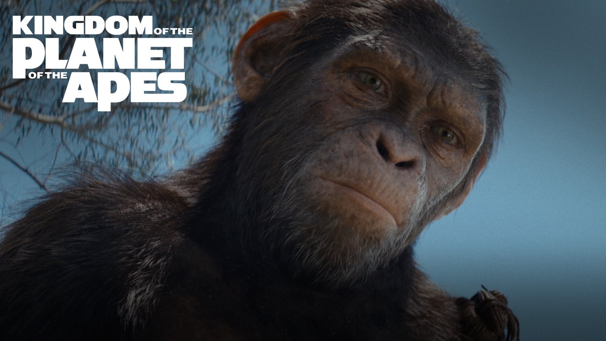 What a wonderful day! Be the first to watch #KingdomOfThePlanetOfTheApes at home. Buy it on Digital July 9 and 4K Ultra HD™ and Blu-ray™ on August 27.