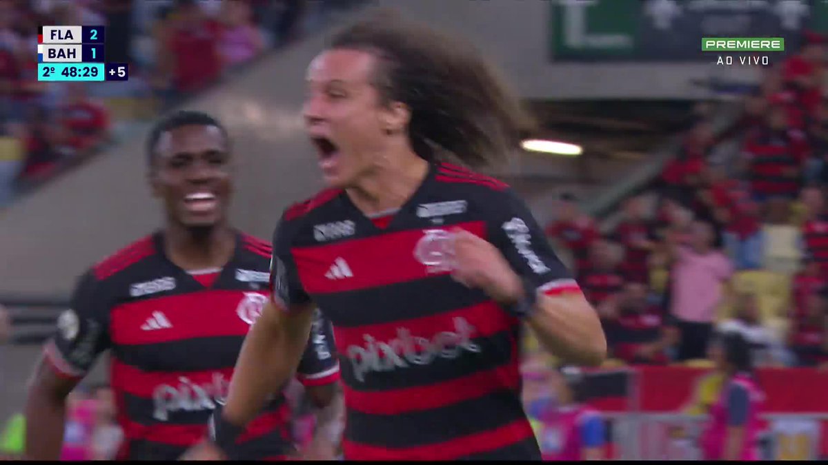 David Luiz correndo com os cabelos ao vento, você já viu esta cena. O Flamengo é líder do Brasileirão.