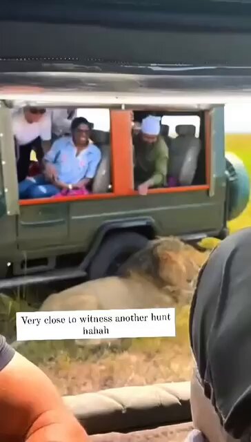 Take a look at this idiot who actually touched the lion, & his foolish friends in another car opposite to him made this clip!! Look at him giving a thumbs up after this atrocious act! After the outrage & reactions, a safari friend of mine who posted it was asked to get it down.. but it was too late! Let’s get this guy & have his passport cancelled!