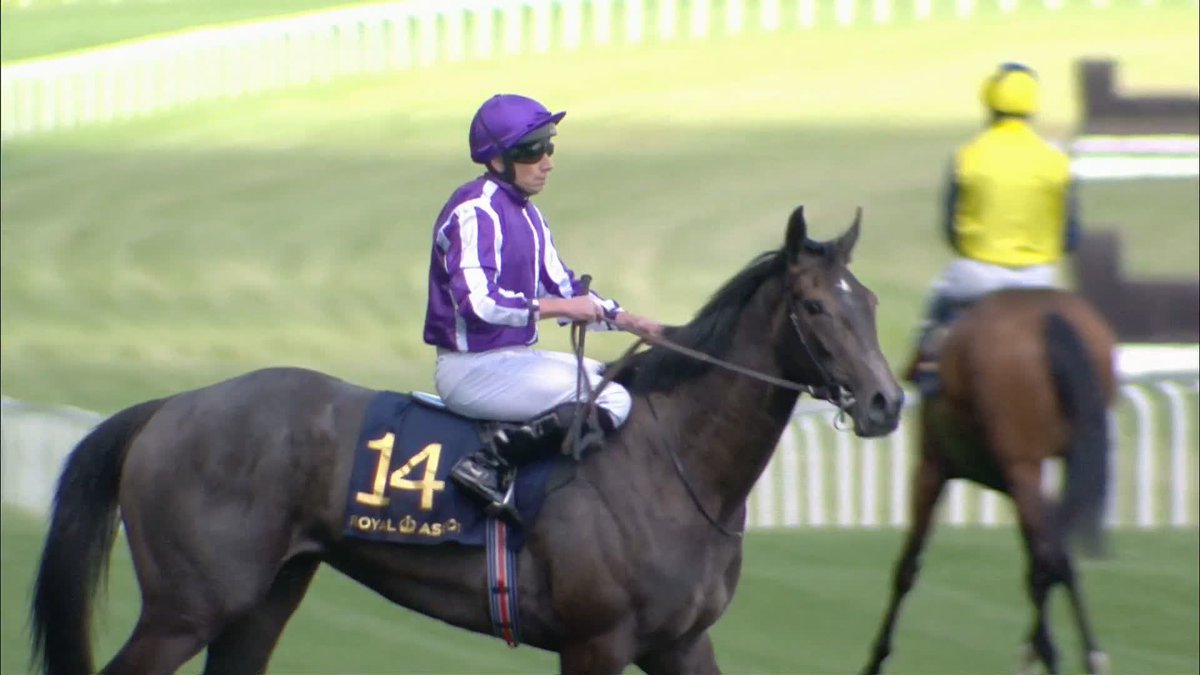 The daughter of Frankel catches them all napping Bedtime Story wins the Chesham Stakes by a country mile for Aidan O'Brien &amp; Ryan Moore #ITVRacing | #RoyalAscot