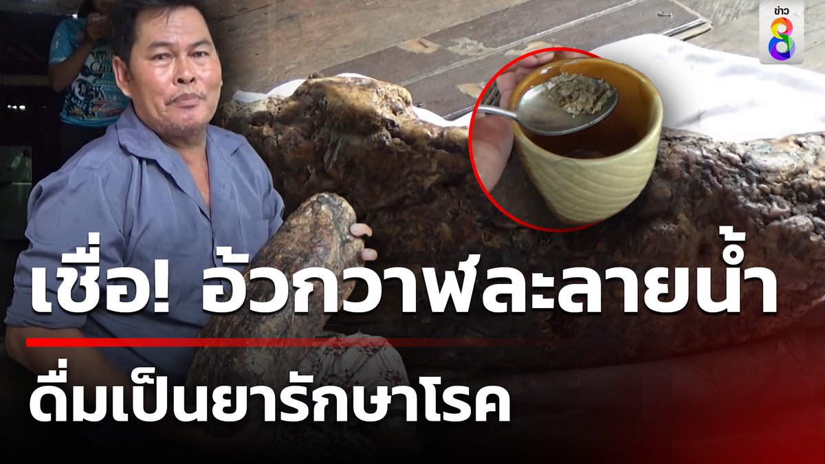 ชาวบ้านที่เก็บอ้วกวาฬได้ ทดลองเอามาชงน้ำร้อนกิน ปรากฏว่าแข็งแรงขึ้น ระบุแค่กินมาเพียง 3 เดือนเท่านั้น #คุยข่าวเช้าช่อง8 #อ้วกวาฬ #อำพันทะเล #ข่าวช่อง8 #ข่าวช่อง8ที่นี่ของจริง #ข่าวออนไลน์ช่อง8