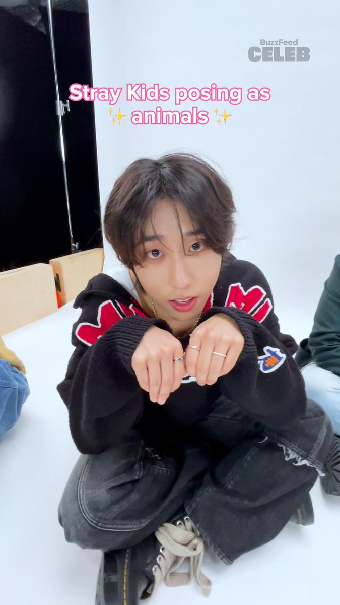 Our Stray Kids Kitten Interview is out NOW! Have you seen it yet? Tell us your favorite part!