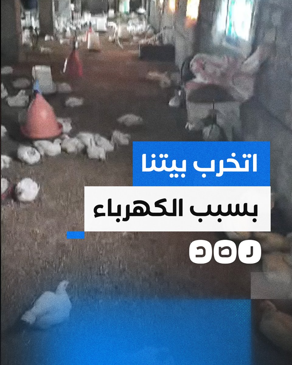 "إحنا اتخرب بيتنا".. صاحب مزرعة دواجن يشكو من خسائر قطع الكهرباء
